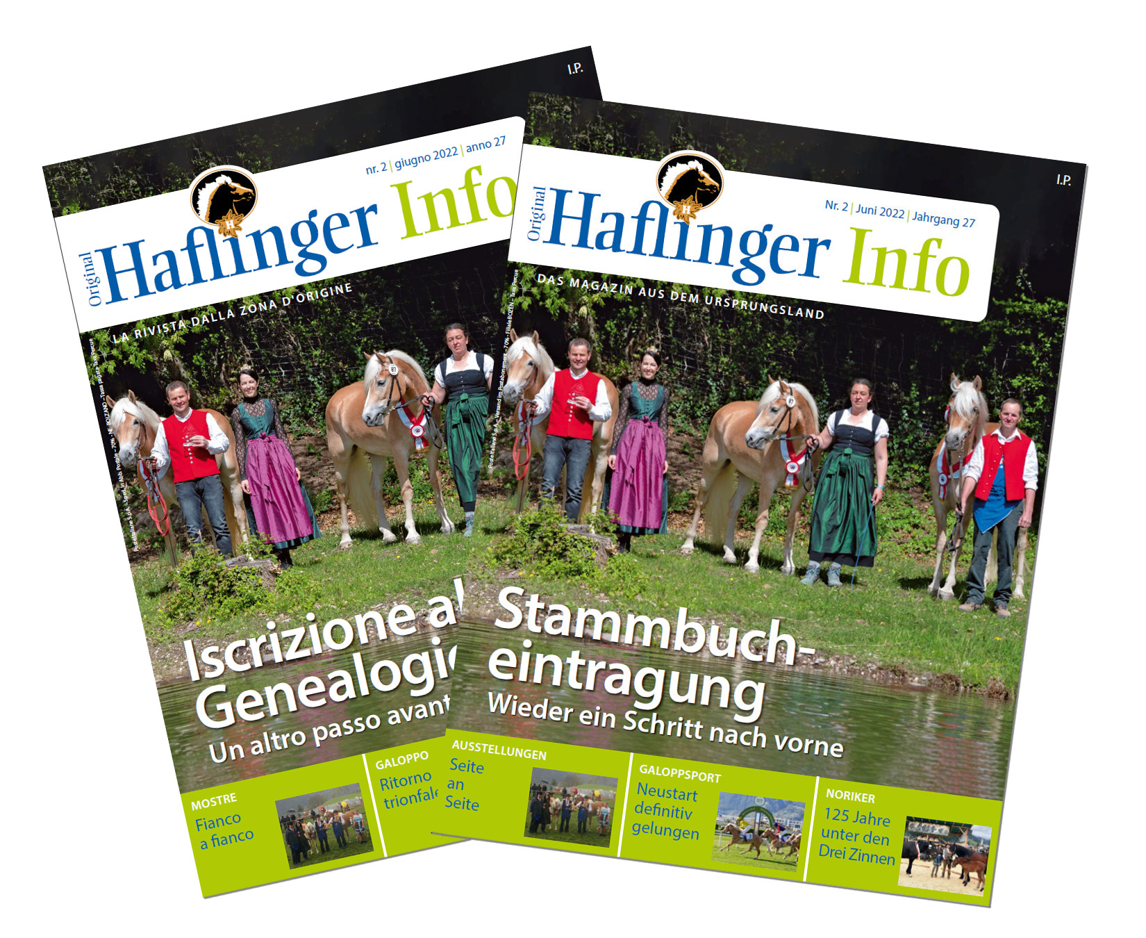 Stallions and studhorses Haflinger • haflinger.eu