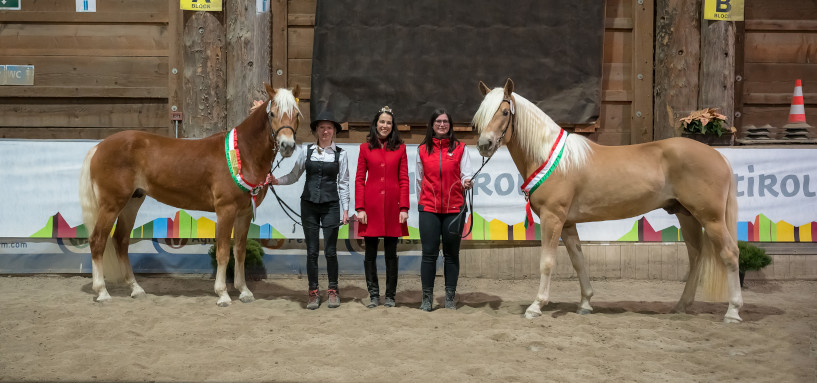 Fohlenchampionat 2022