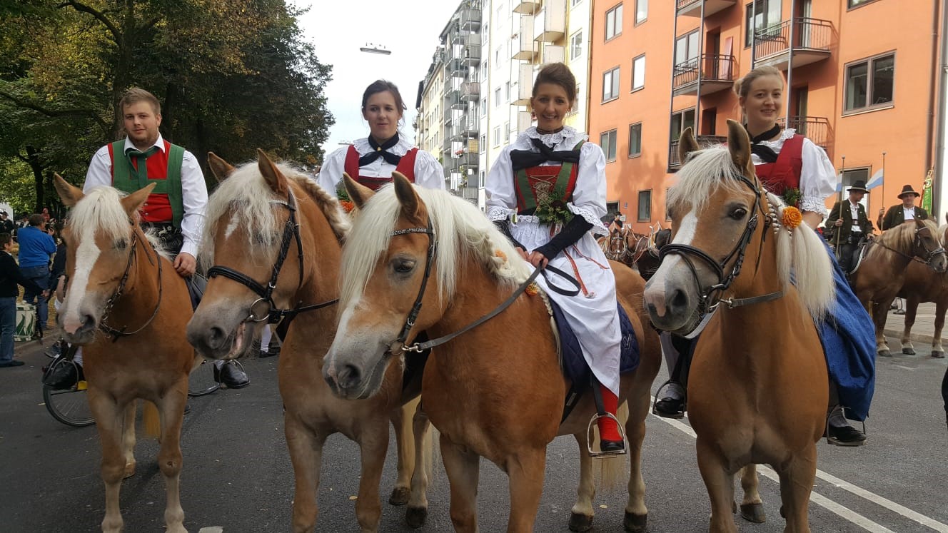 Haflinger-Hengstkörung 2020