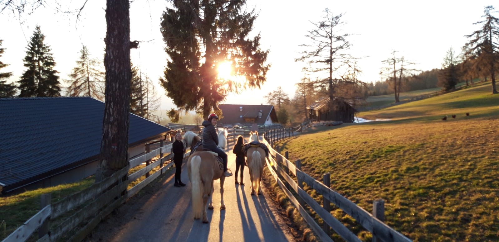 Großer Erfolg für Südtiroler Fahrer