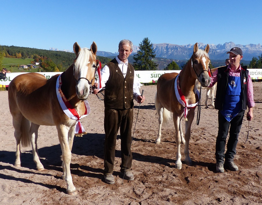 Großer Erfolg für Südtiroler Fahrer