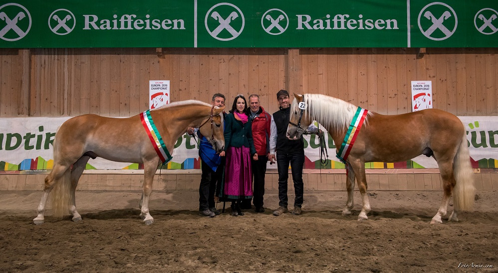 Großer Erfolg für Südtiroler Fahrer