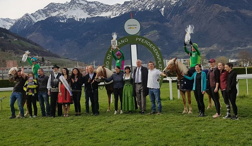 Haflinger-Hengstkörung 2020