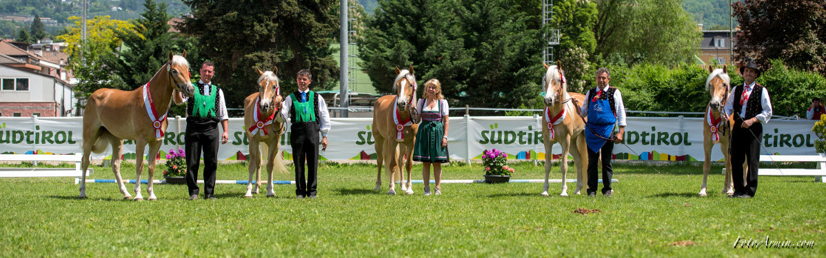 Großer Erfolg für Südtiroler Fahrer