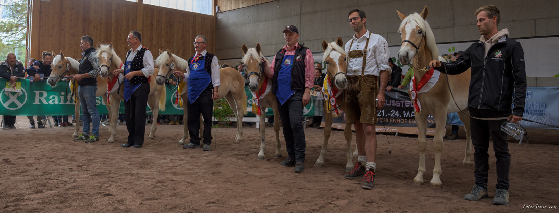 Großer Erfolg für Südtiroler Fahrer