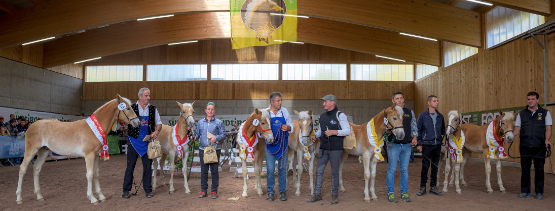 Großer Erfolg für Südtiroler Fahrer