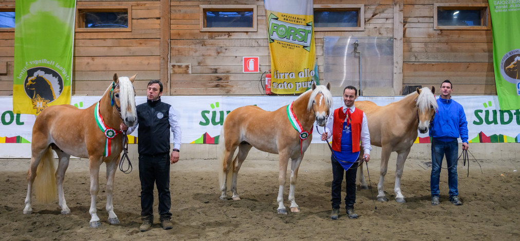 Großer Erfolg für Südtiroler Fahrer