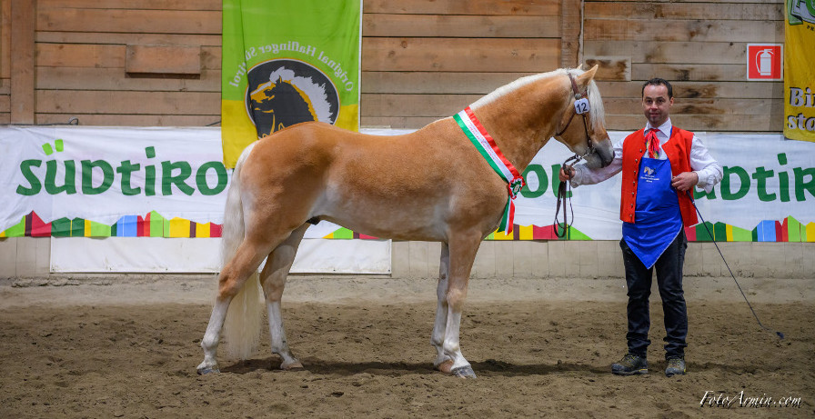 Großer Erfolg für Südtiroler Fahrer