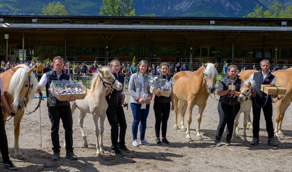 Großer Erfolg für Südtiroler Fahrer
