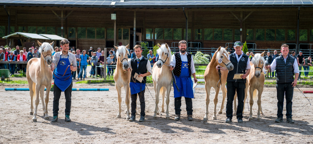 Großer Erfolg für Südtiroler Fahrer