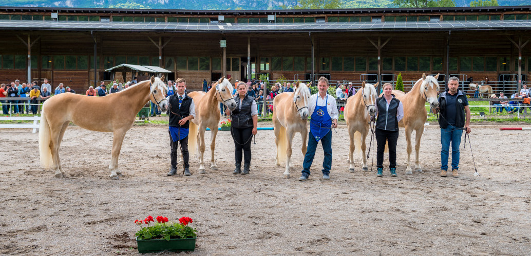 Großer Erfolg für Südtiroler Fahrer