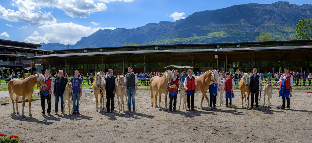 Großer Erfolg für Südtiroler Fahrer