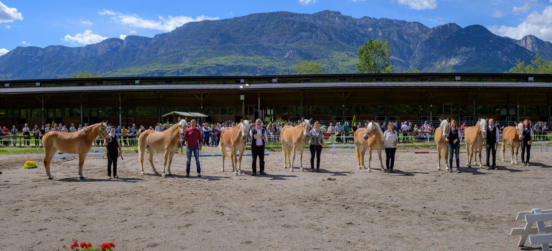Großer Erfolg für Südtiroler Fahrer
