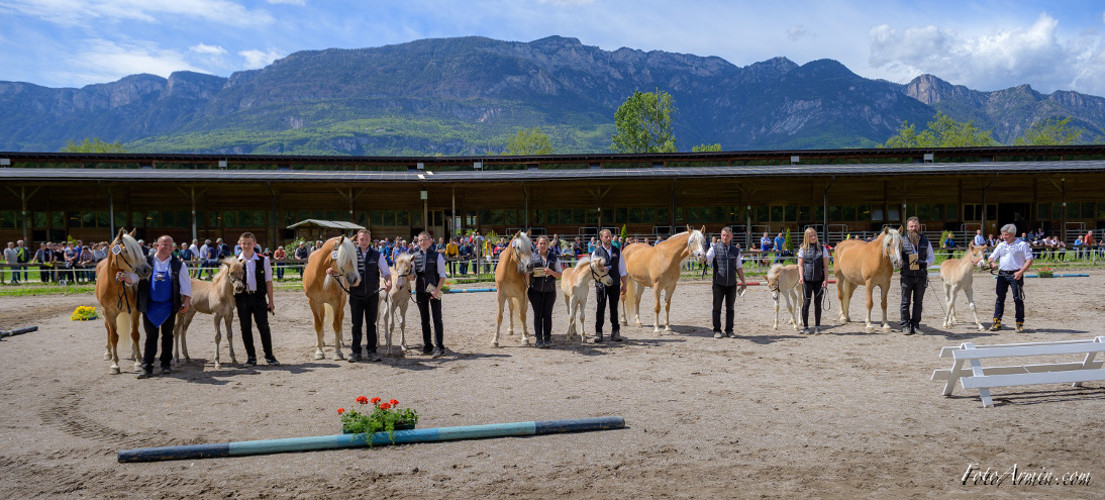 Großer Erfolg für Südtiroler Fahrer