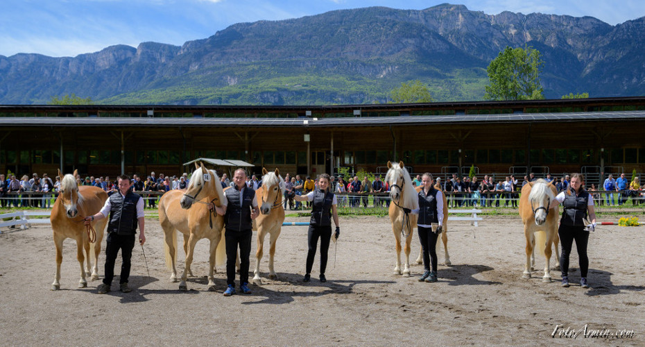 Großer Erfolg für Südtiroler Fahrer