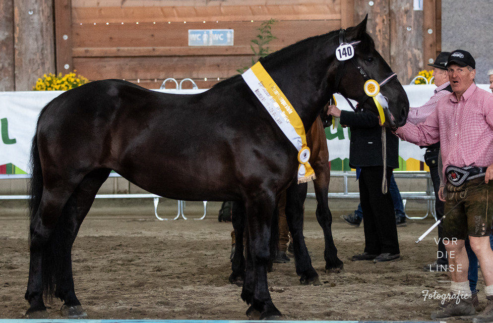 Großer Erfolg für Südtiroler Fahrer