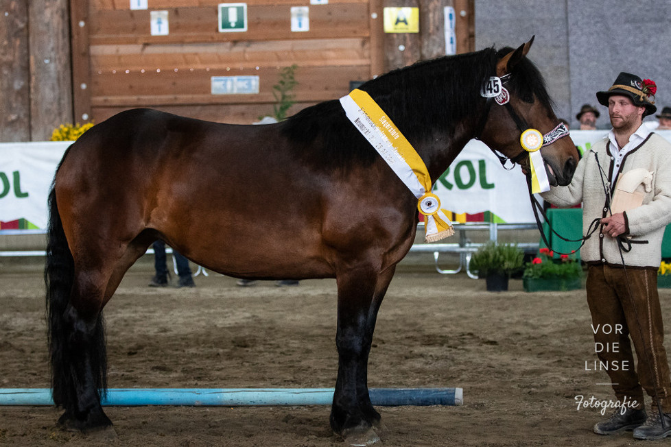 Großer Erfolg für Südtiroler Fahrer