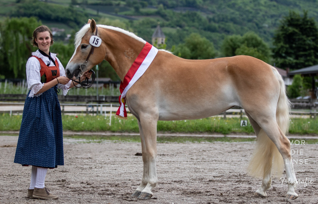 Großer Erfolg für Südtiroler Fahrer