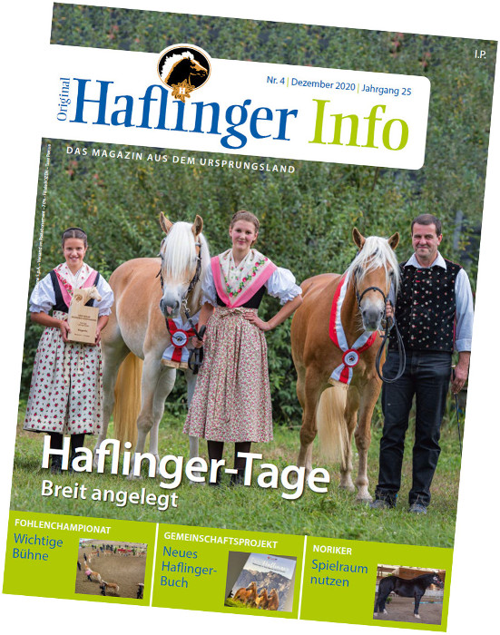 Haflinger Info 2020-04