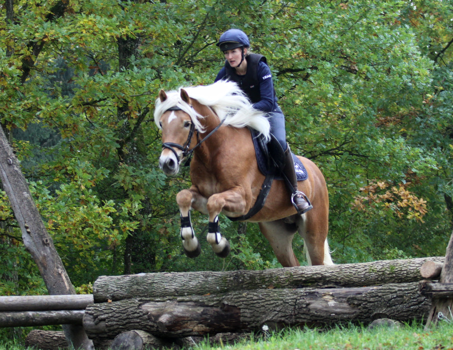 Großer Erfolg für Südtiroler Fahrer