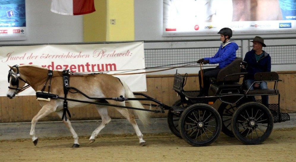 Großer Erfolg für Südtiroler Fahrer