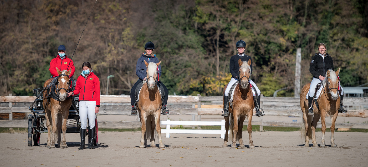 Haflinger-Sporttage 2019