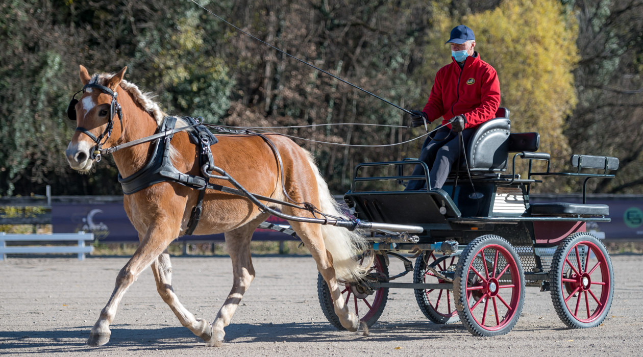 Großer Erfolg für Südtiroler Fahrer