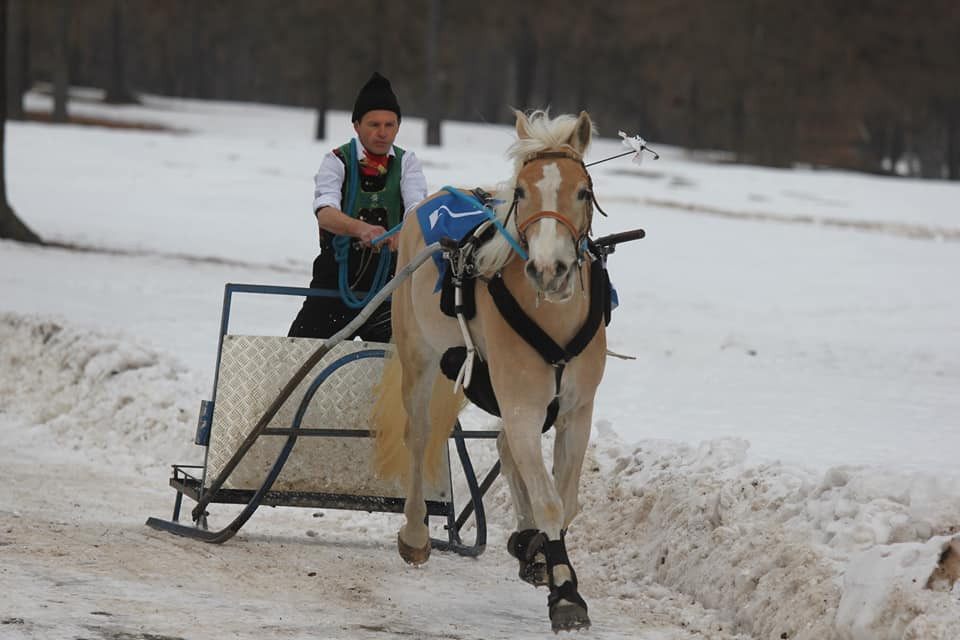 Großer Erfolg für Südtiroler Fahrer