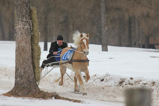 Großer Erfolg für Südtiroler Fahrer