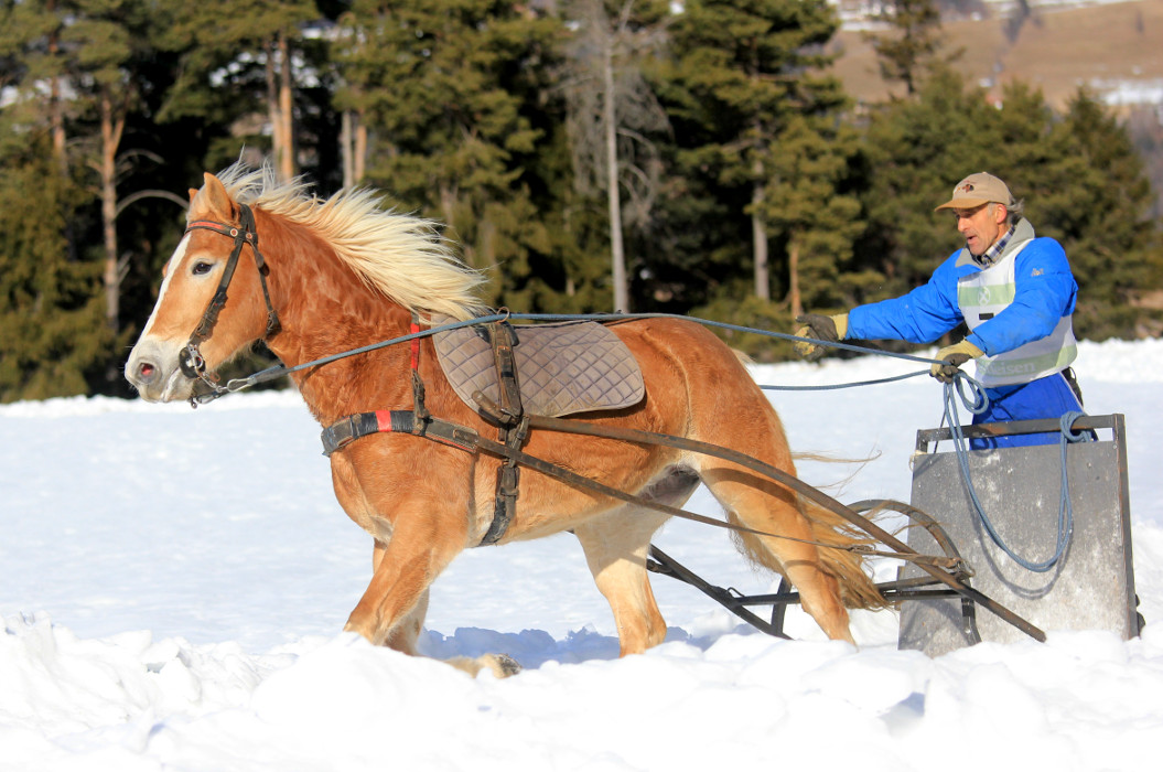Großer Erfolg für Südtiroler Fahrer