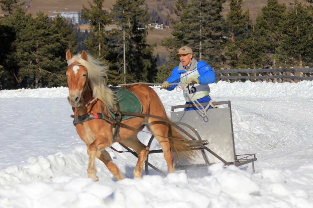 Großer Erfolg für Südtiroler Fahrer