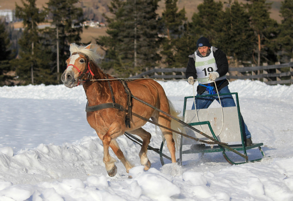 Großer Erfolg für Südtiroler Fahrer