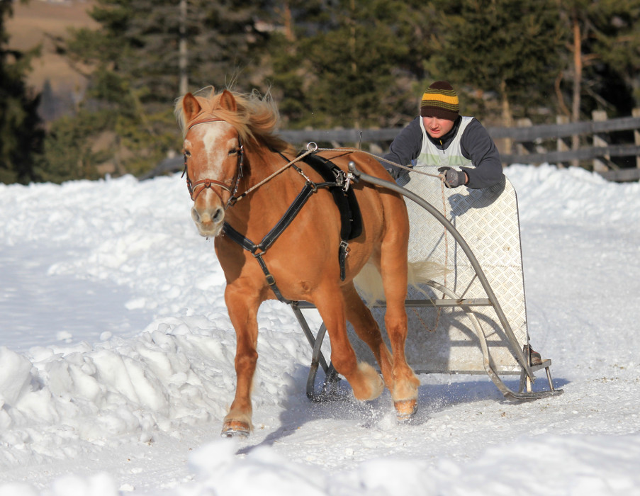 Großer Erfolg für Südtiroler Fahrer