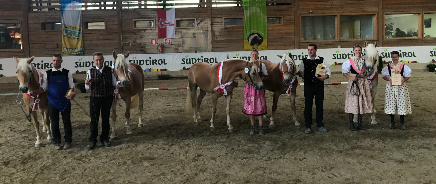 Haflinger-Weltausstellung 2020