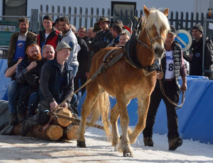 Großer Erfolg für Südtiroler Fahrer