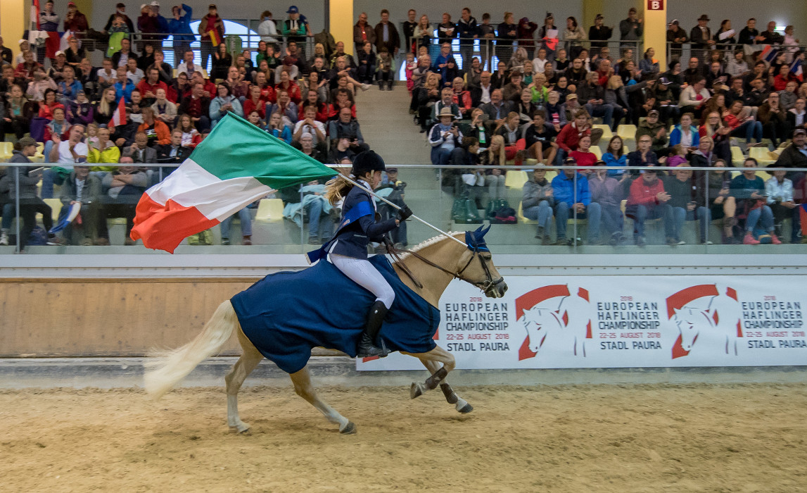 Haflinger-Weltausstellung 2020