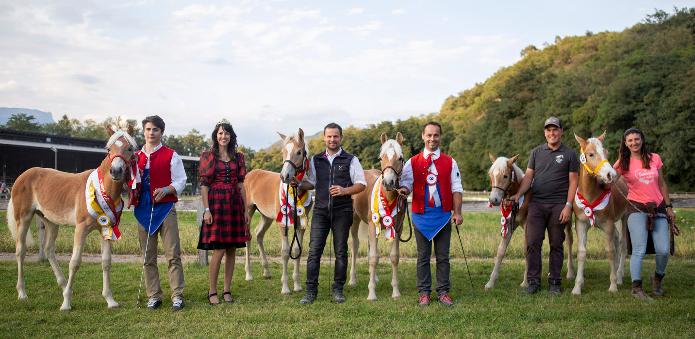 Fohlenchampionat 2021