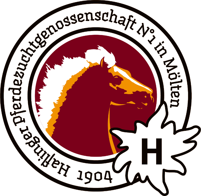 Haflinger Zuchtverein Mölten