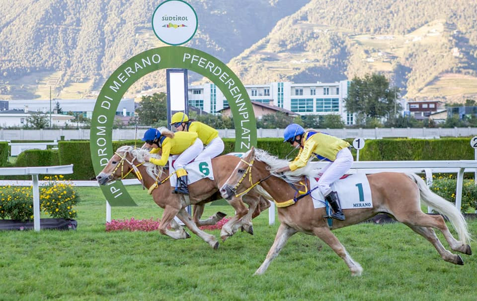 Herbstgalopprennen 2021 Endlauf