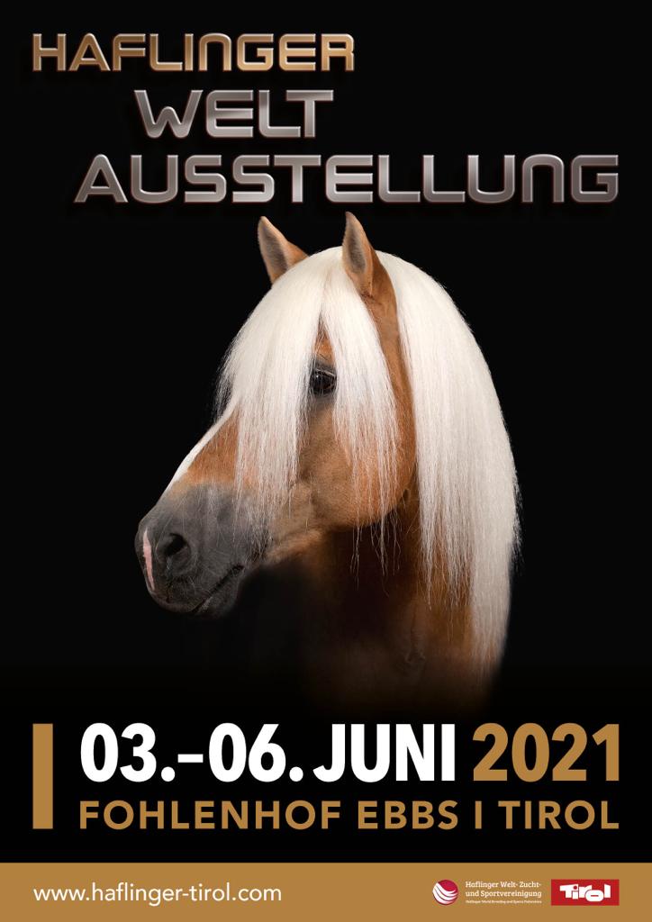 Haflinger-Weltausstellung 2020