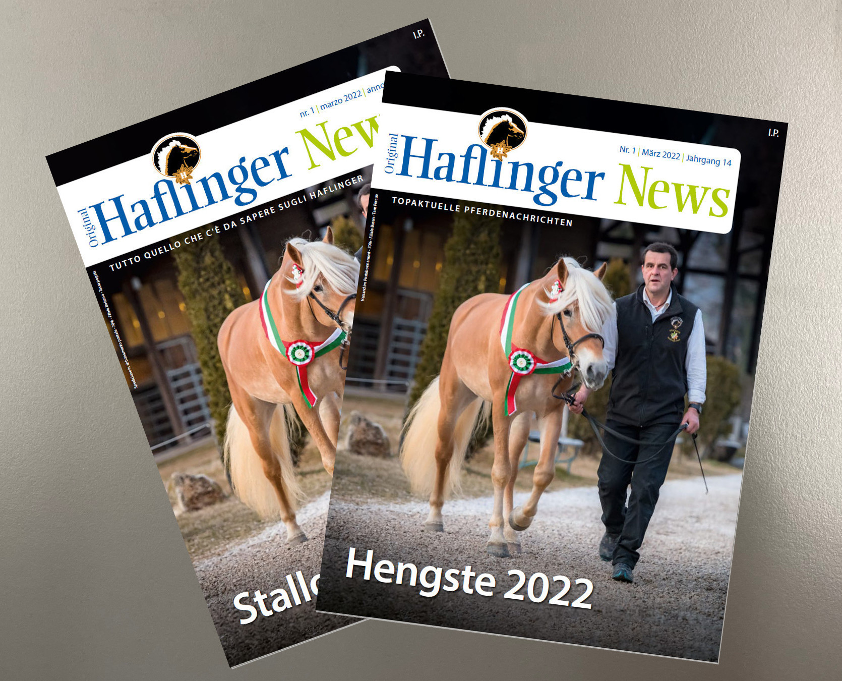 Stallions and studhorses Haflinger • haflinger.eu