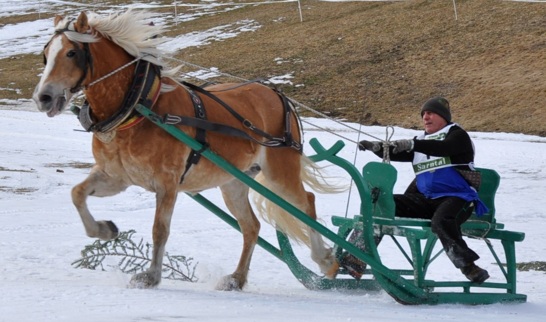 Jakob Gross Schlitten