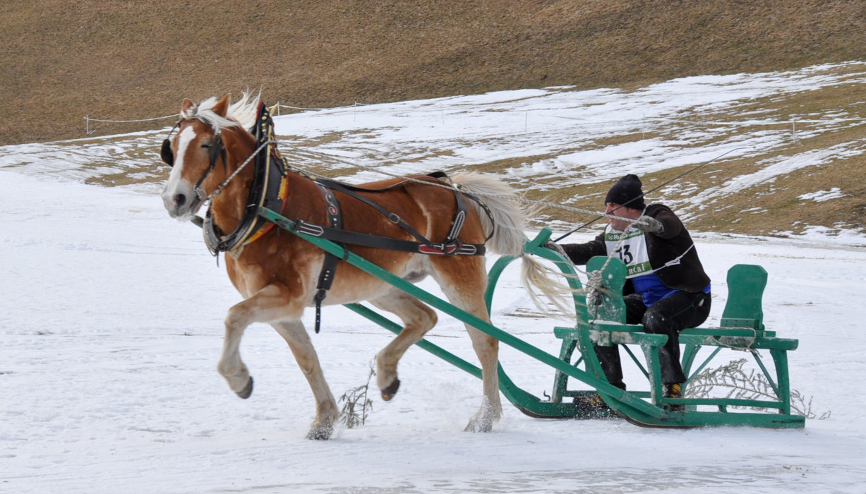 Roman Gross Schlitten