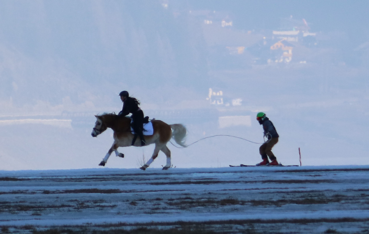 Ultner Ross SkiCross