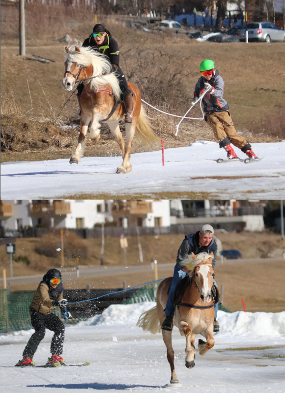 Ultner Ross SkiCross