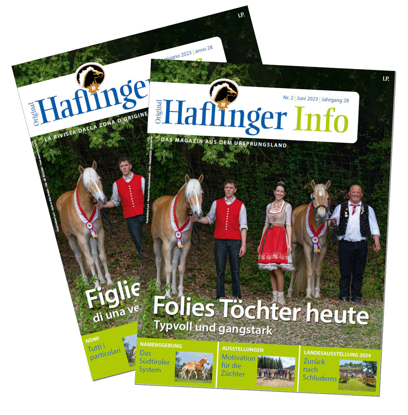 Haflinger horses to buy horse market foals and ponies • haflinger.eu