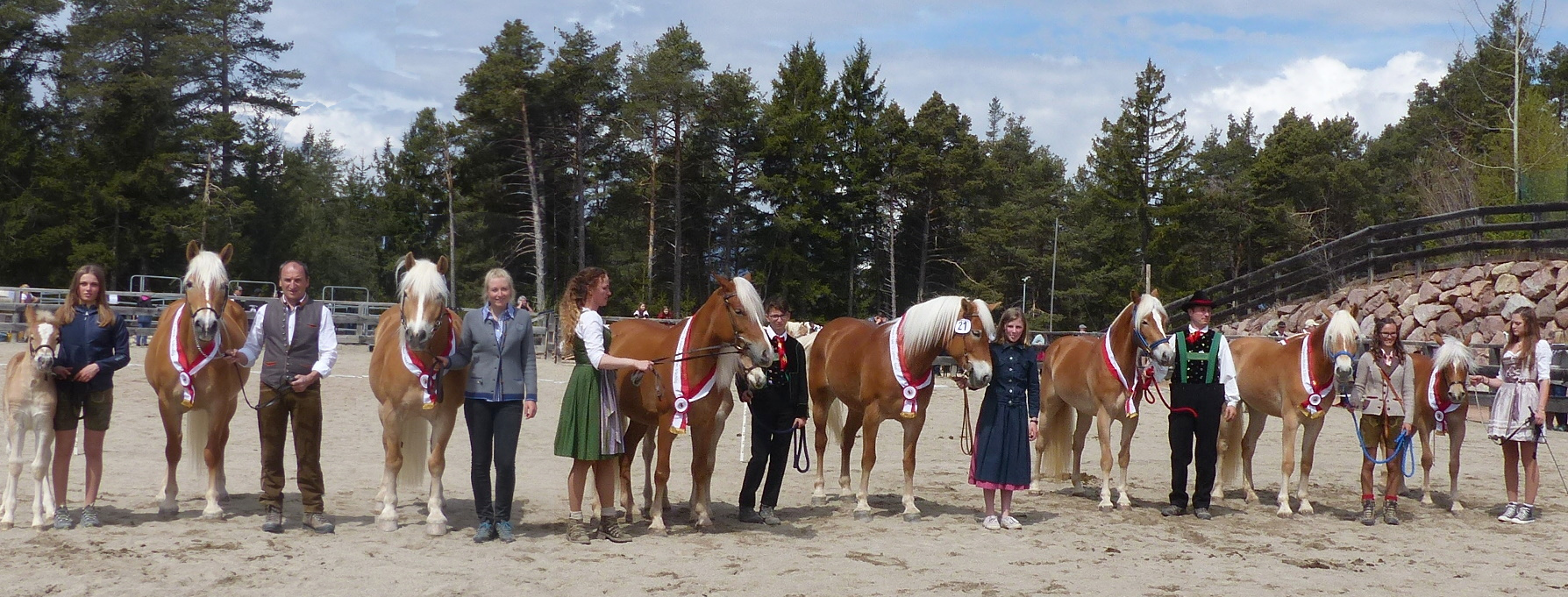 Mölten Jubiläumsschau 2023