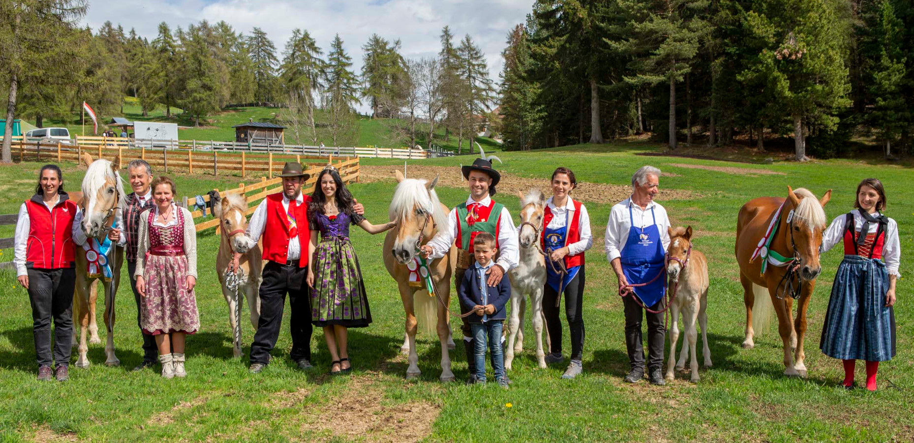 Haflinger- und Norikerschau Ritten