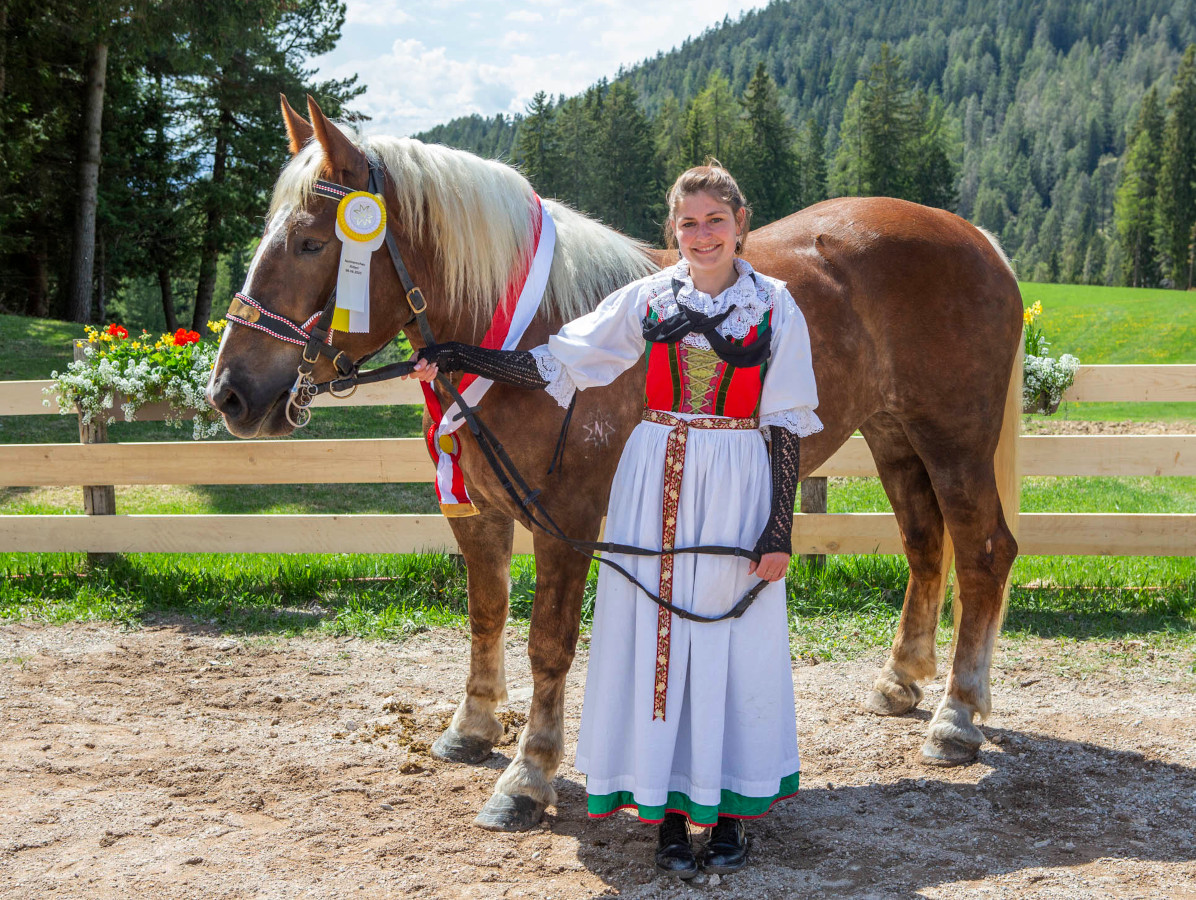Haflinger- und Norikerschau Ritten