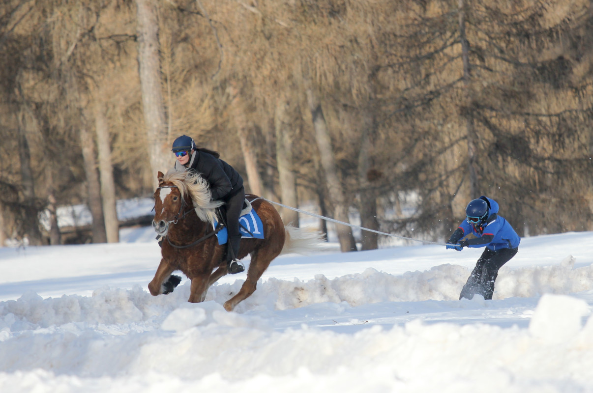 Schlittenrennen mit Skijöring in Jenesien